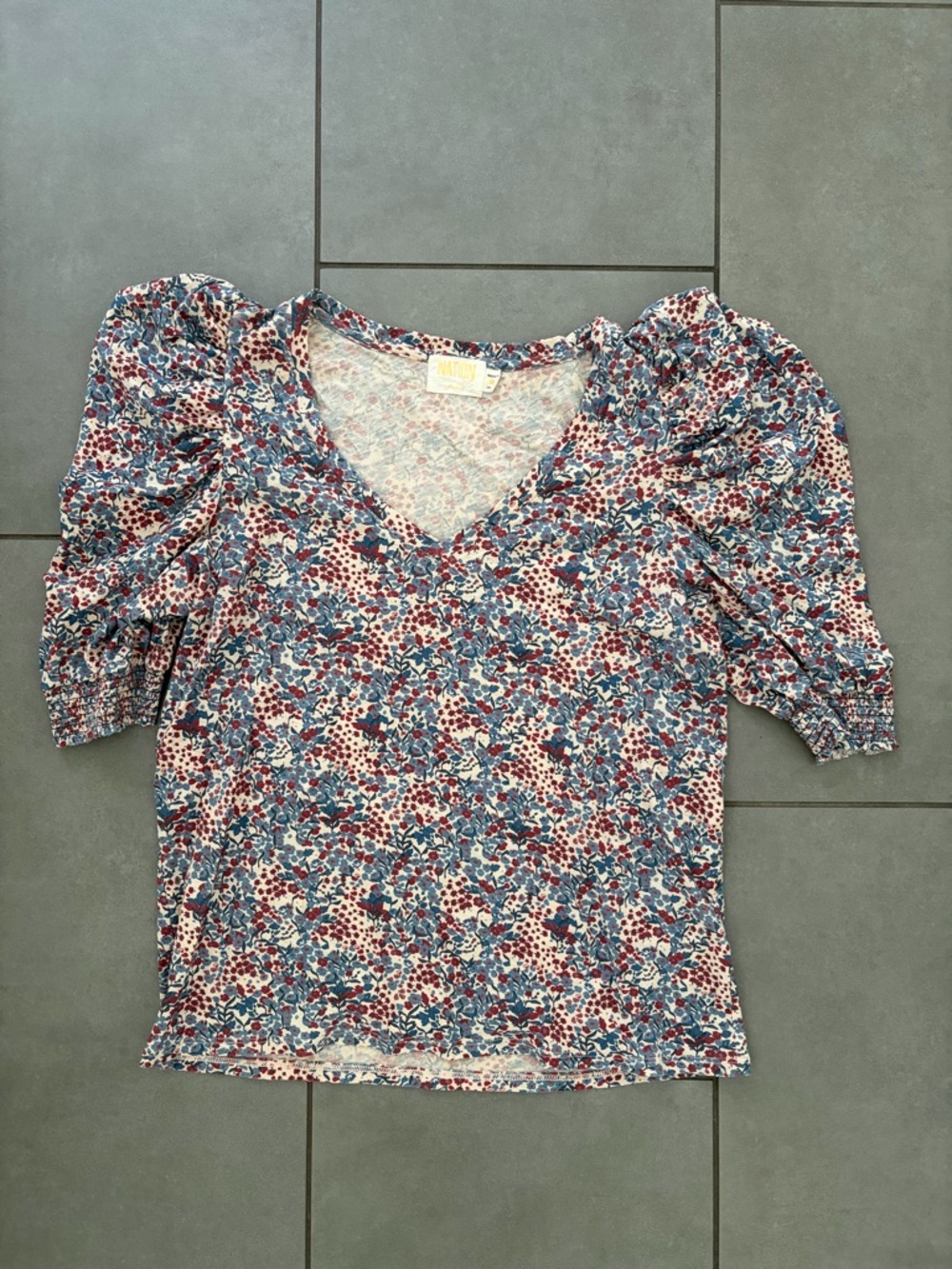Nation LTD Floral Puff-Sleeve V-Neck Top in Blue and Burgundy